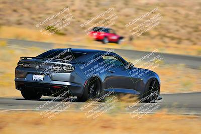 media/Nov-16-2024-Extreme Speed (Sat) [[6587d07cc4]]/Purple Group/Session 2 (Turns 3 and 5)/